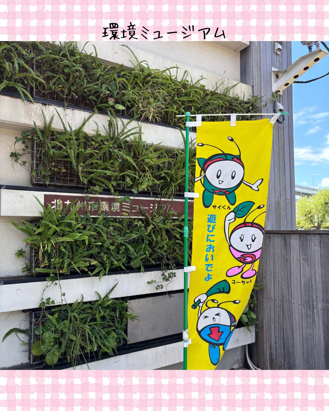 トイトイトイ到津１号館です🌏