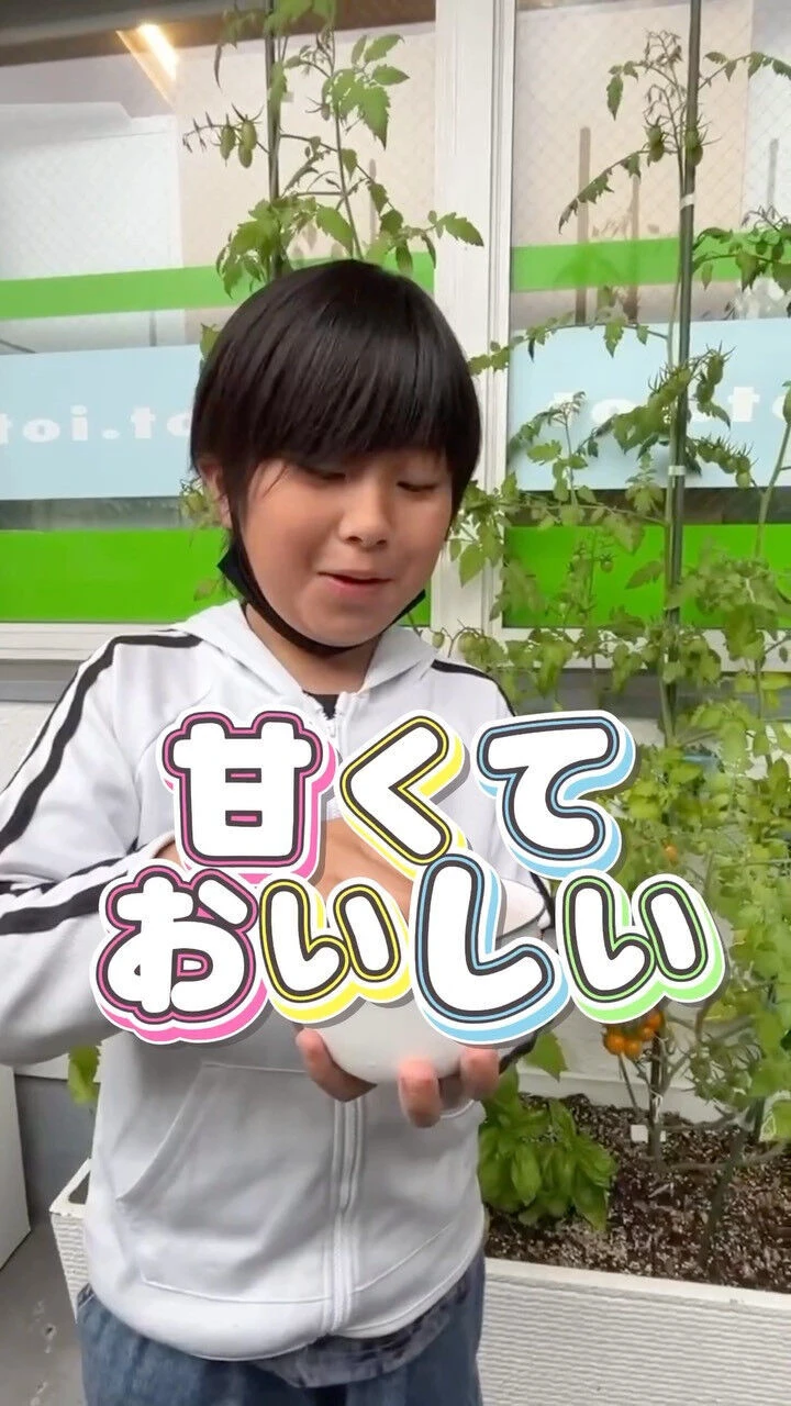トイトイトイ到津１号館です🍅 