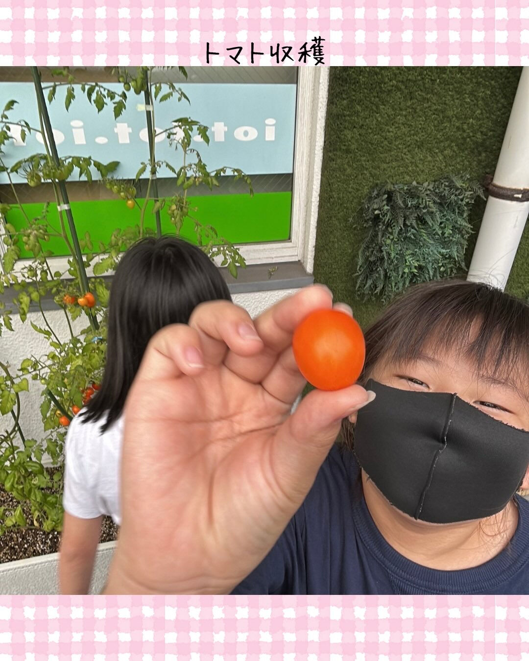 トイトイトイ到津１号館です🍅
