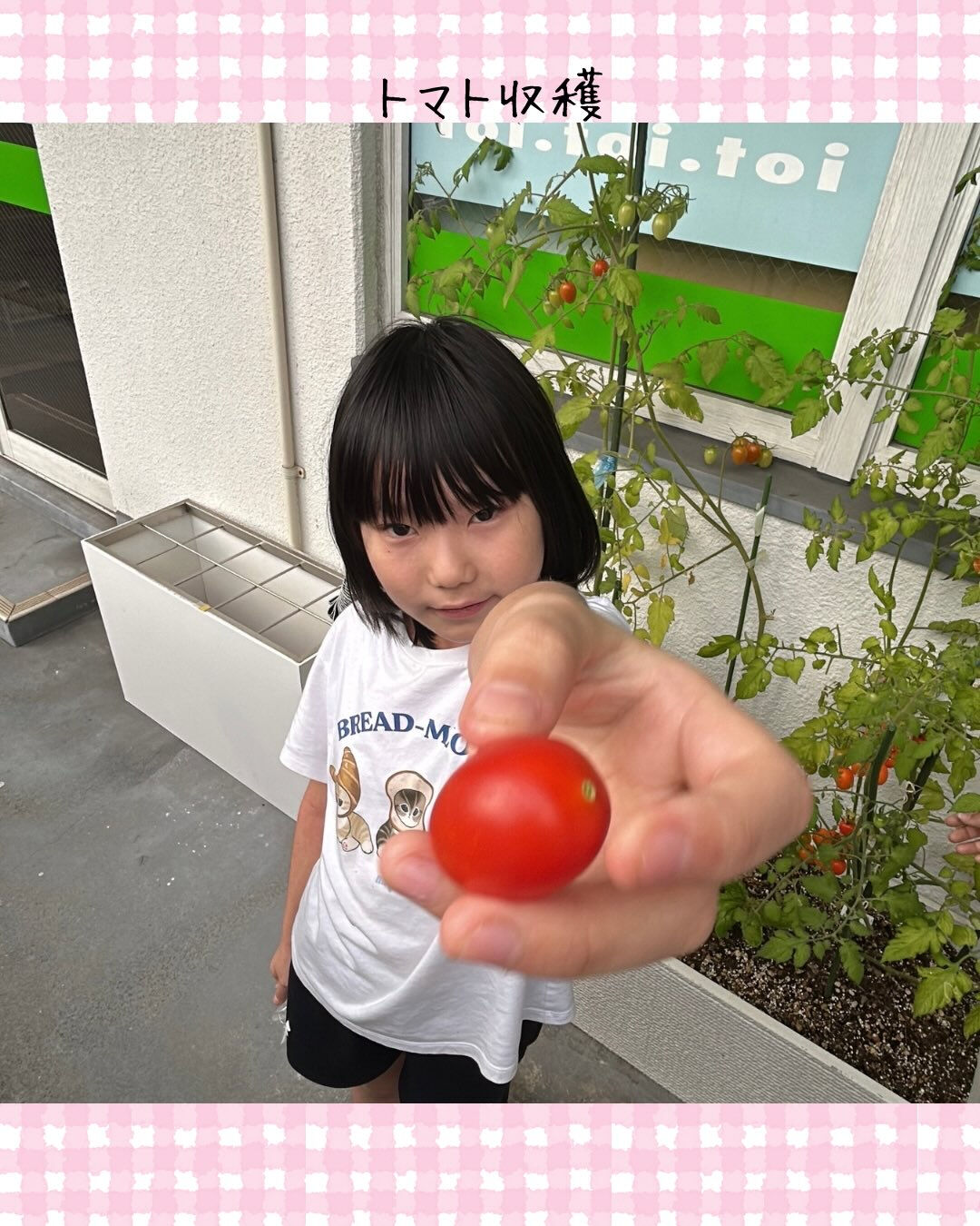 トイトイトイ到津１号館です🍅
