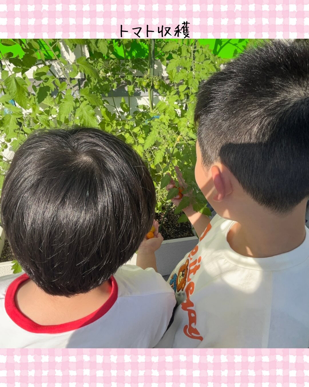 トイトイトイ到津１号館です🍅