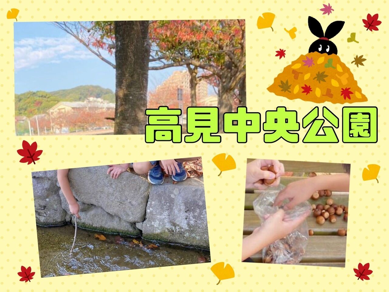 高見中央公園♪