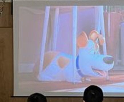 DVD鑑賞♪