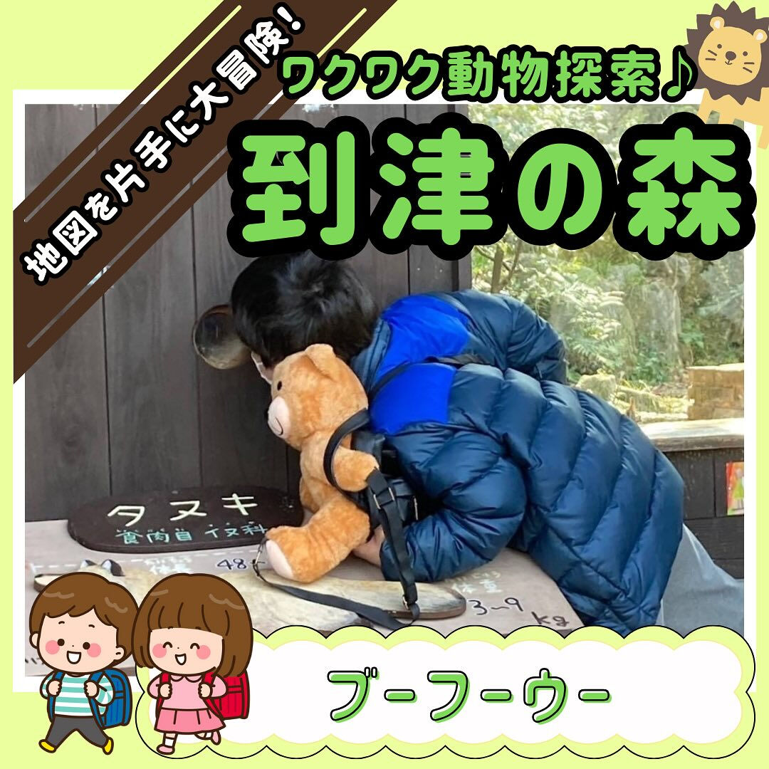 ブーフーウーです🐘✨✨