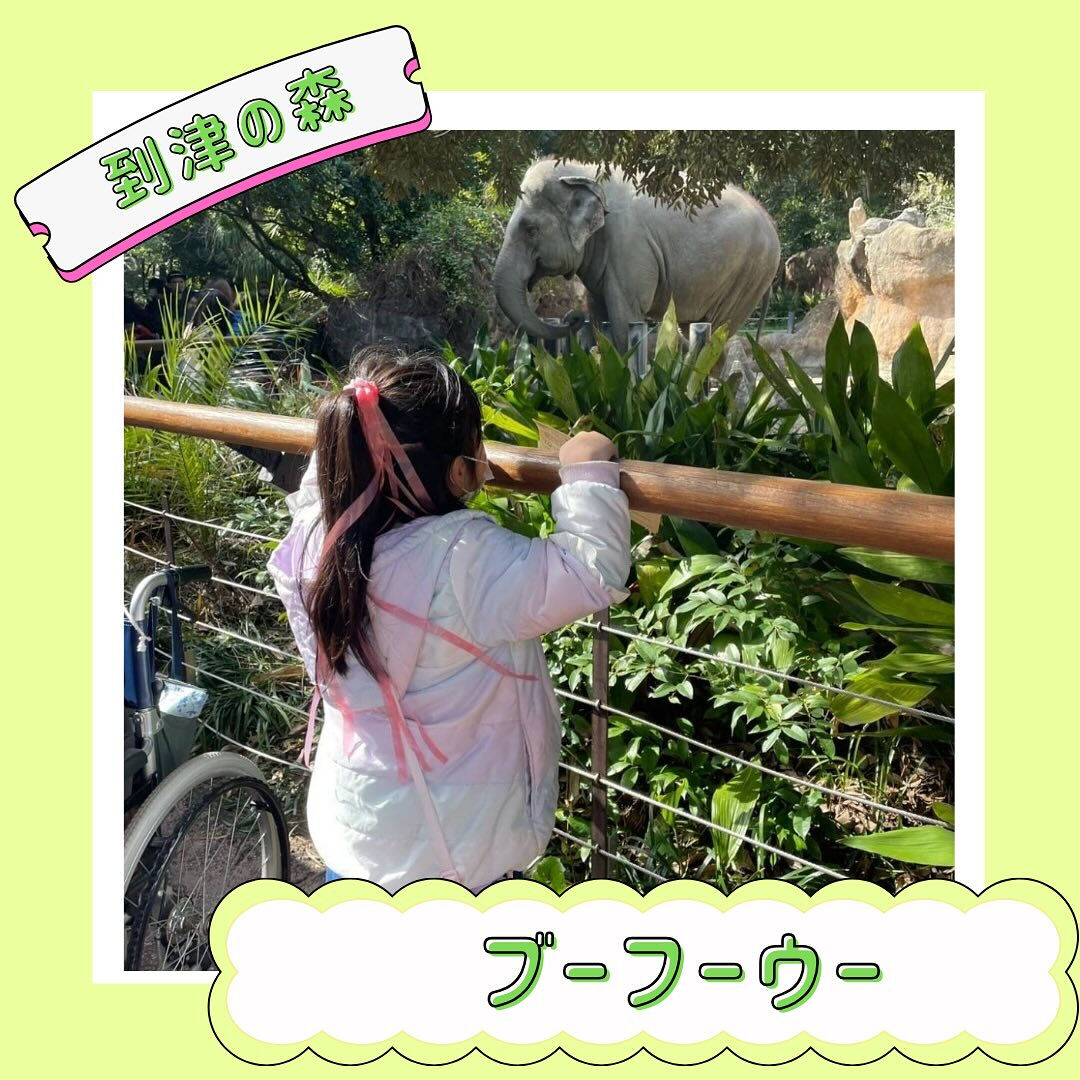 ブーフーウーです🐘✨✨