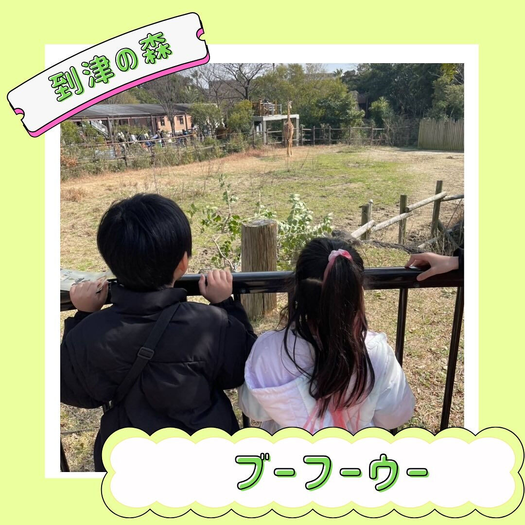 ブーフーウーです🐘✨✨