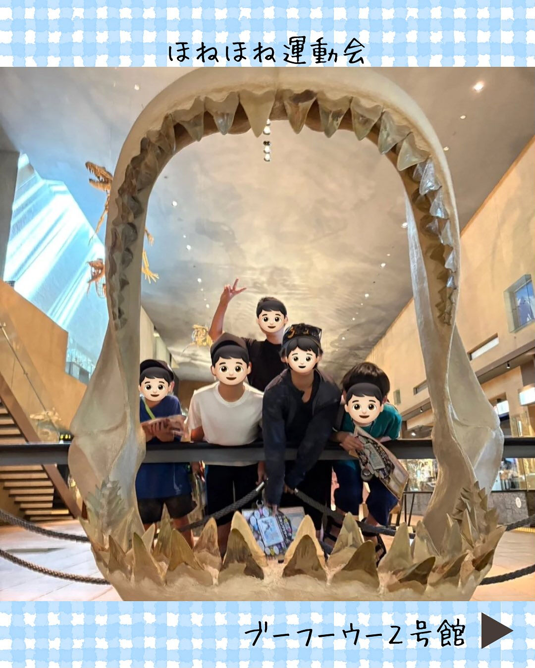ブーフーウー２号館です🦴