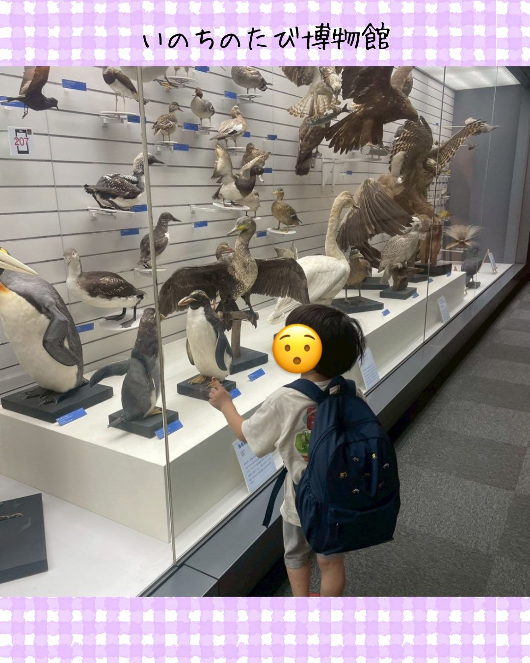 トイトイトイ井堀です🦕