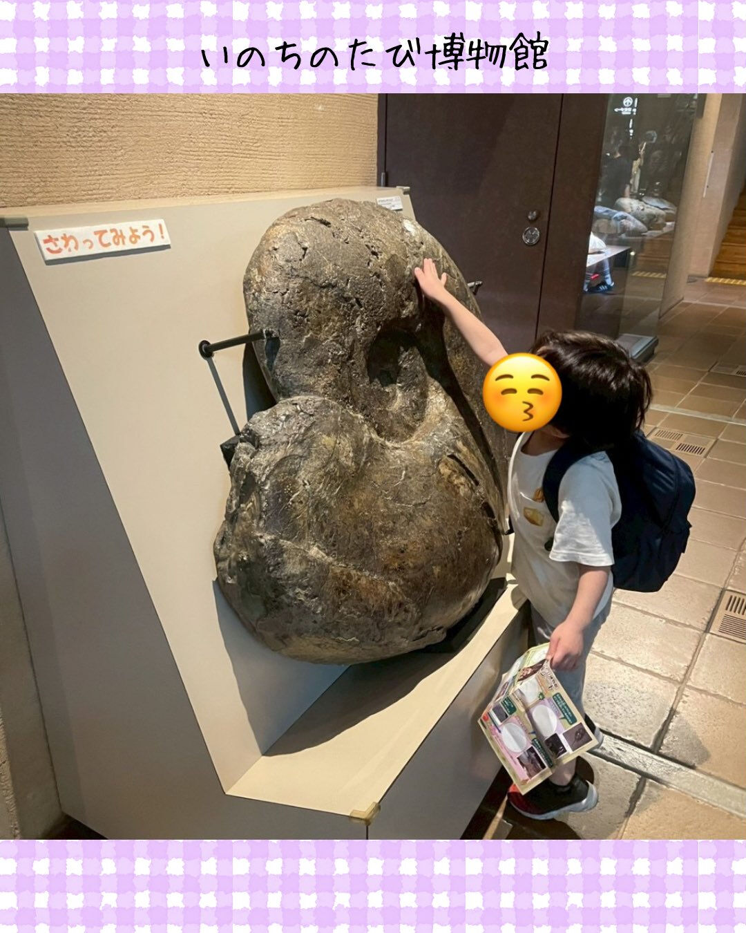 トイトイトイ井堀です🦕