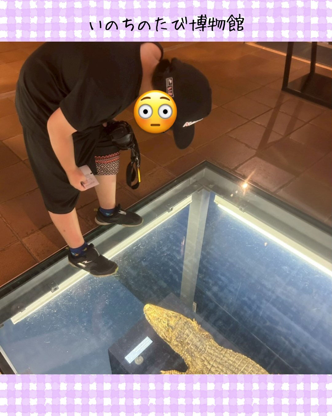 トイトイトイ井堀です🦕