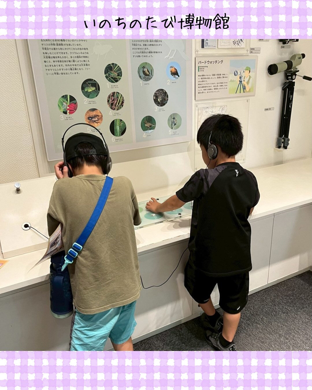 トイトイトイ井堀です🦕