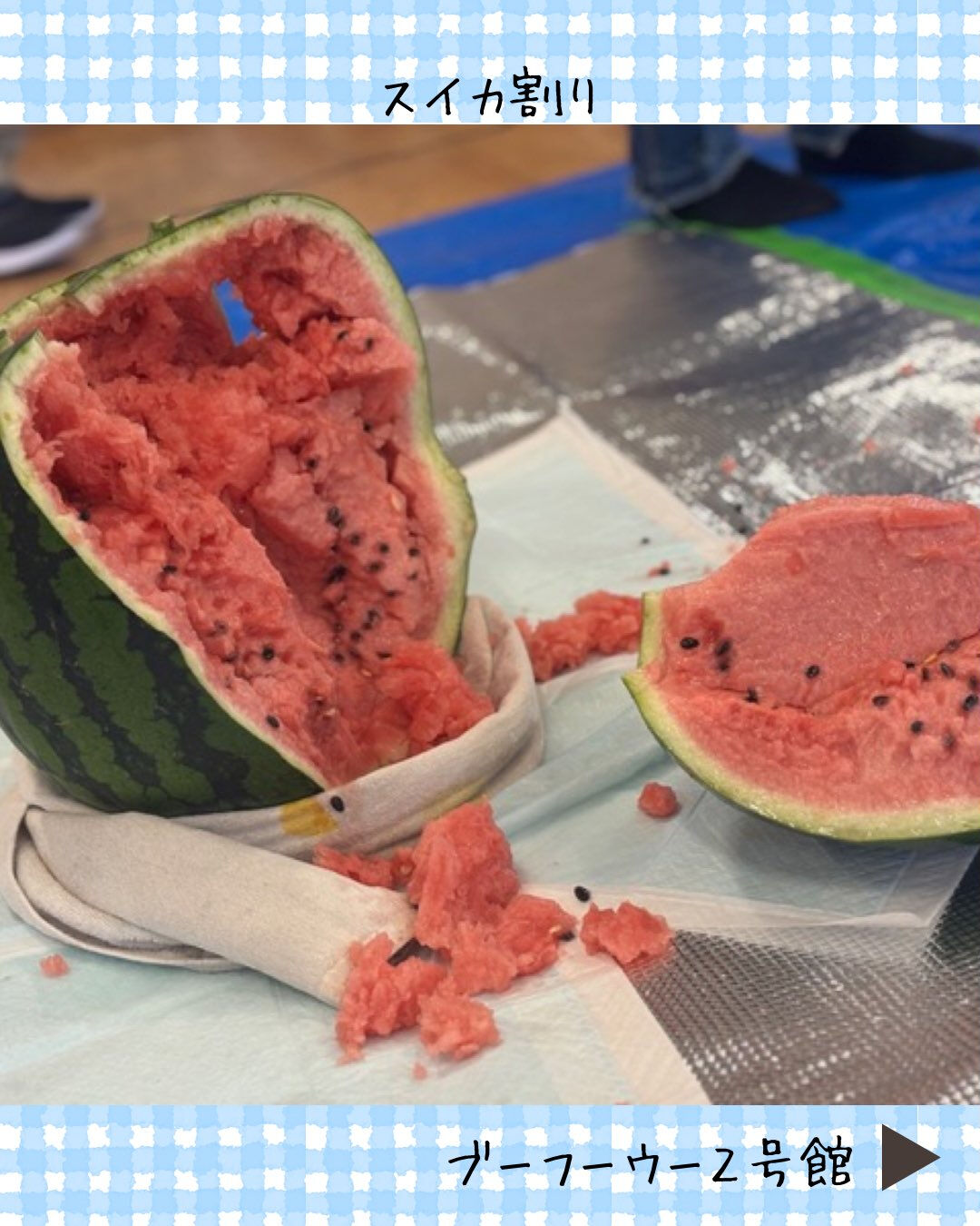 ブーフーウー2号館です🍉